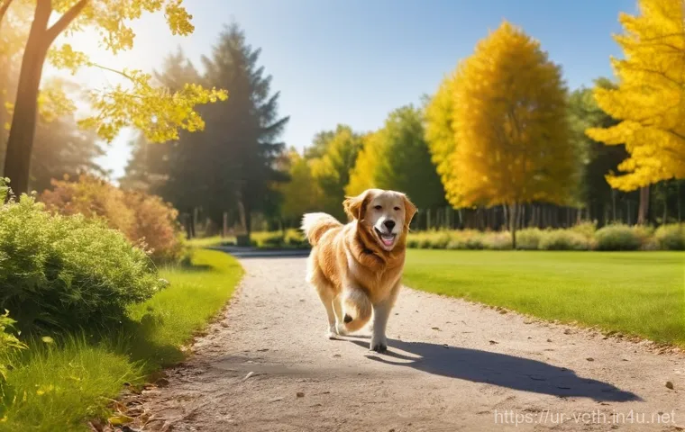 강아지 수술 후 흉터 관리 - **Prompt 2: Scar Management and Nutritional Support**
    "A well-nourished Golden Retriever mix dog...