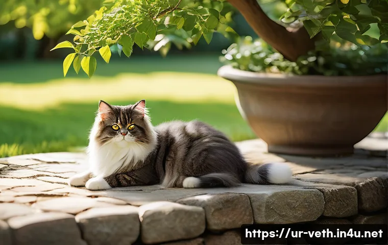 반려동물 응급 상황 대처법 관련 이미지 1